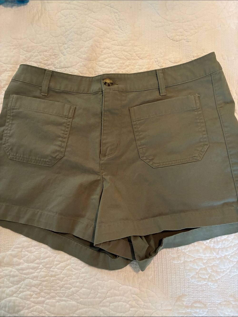 Quince Stretch Cotton Chino Patch Pocket Shorts SZ 10 Olive